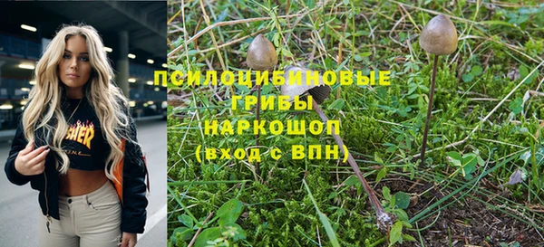 PSILOCYBIN Лагань