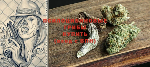 крисы Кинешма