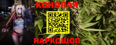 ALPHA PVP Заволжье