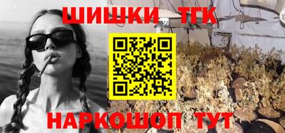 дмт Заводоуковск