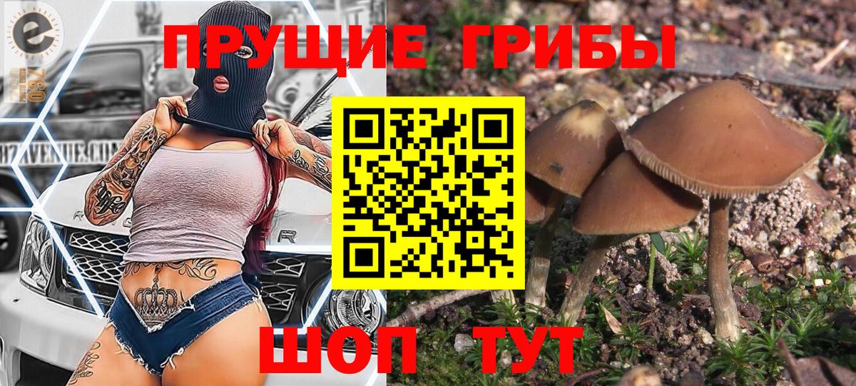 Лениногорск  Галлюциногенные грибы GOLDEN TEACHER  Вход с VPN  Галлюциногенные грибы Magic Shrooms 