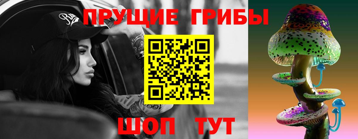 Галлюциногенные грибы Psilocybine cubensis Лениногорск